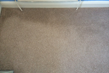 96_Carpet_Pooling_Shading